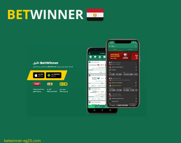 Download Betwinner Egypt